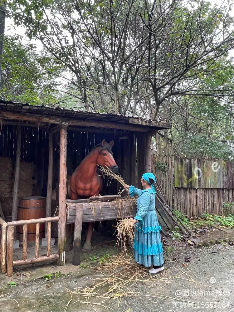 2023年11月2日崇州森林部落玩拍照